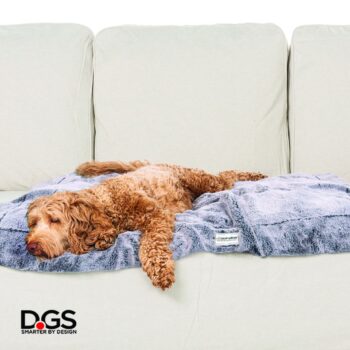 Dgs Ichy Witchy Teppe